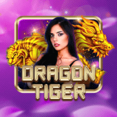 Dragon Tiger super ace king live casino